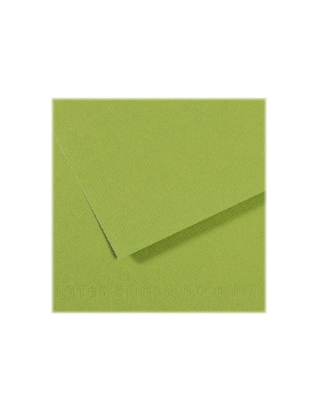 Papier dessin canson feuille mi-teintes n 475 grain gelatine haute teneur coton 160g 50x x65cm unicolore vert pomme