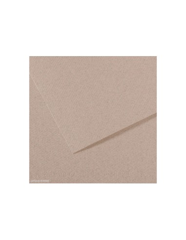 Papier dessin canson feuille mi-teintes n 426 grain gelatine haute teneur coton 160g 50x x65cm unicolore gris clair