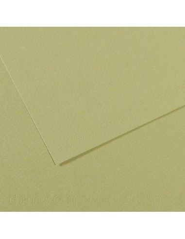 Papier dessin canson feuille mi-teintes n 480 grain gelatine haute teneur coton 160g 50x x65cm unicolore vert amande