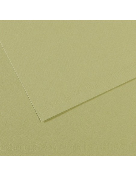 Papier dessin canson feuille mi-teintes n 480 grain gelatine haute teneur coton 160g 50x x65cm unicolore vert amande