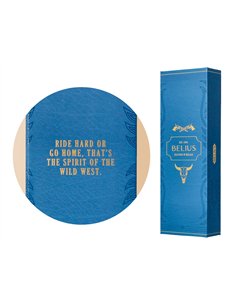 Stylo-bille belius wild west aluminium encre bleue coloris bleu marine dore boite design. 2