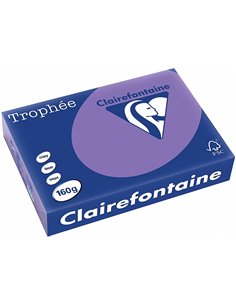 Papier clairefontaine multifonction laser couleur trophe a4 160g/m2violine parfaite opacite paquet 250. 2