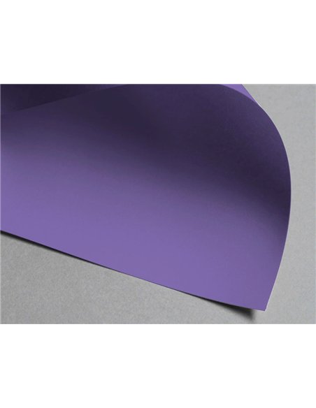 Papier clairefontaine multifonction laser couleur trophe a4 160g/m2violine parfaite opacite paquet 250.