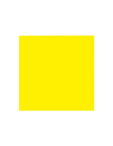 Papier clairefontaine multifonction laser couleur trophe a3 160g/m2 soleil parfaite opacite paquet 250.