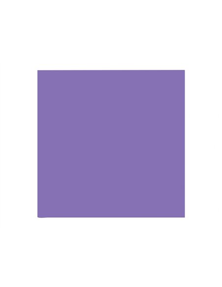 Papier clairefontaine multifonction laser couleur trophe a3 160g/m2 violine parfaite opacite paquet 250.