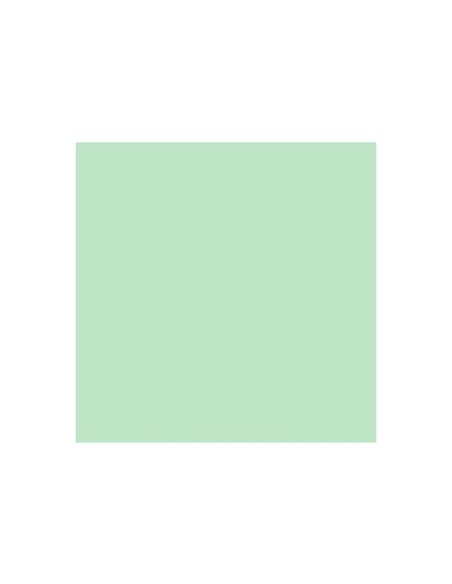 Papier clairefontaine multifonction laser couleur trophe a4 160g /m2 vert golf parfaite opacite paquet 250.