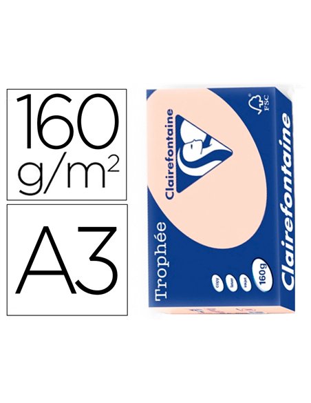 Papier clairefontaine multifonction laser couleur trophe a3 160g/m2saumon parfaite opacite paquet 250.