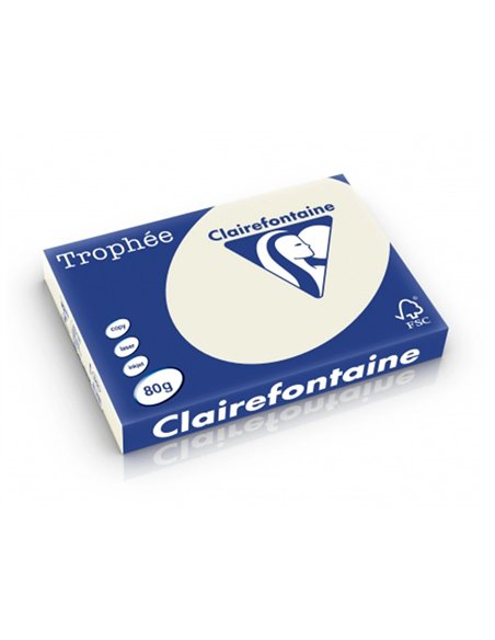 Papier clairefontaine multifonction laser couleur trophe a3 80g/m2 gris perle parfaite opacite paquet 500.