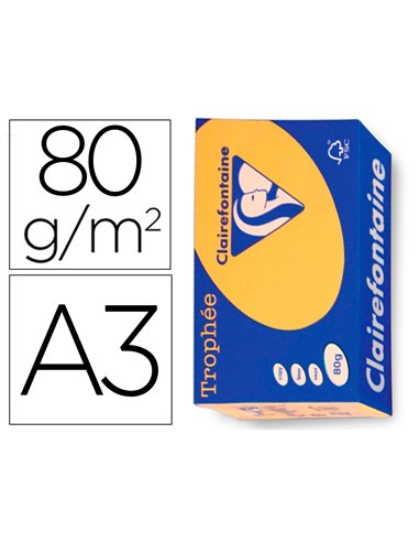 Papier clairefontaine multifonction laser couleur trophe a3 80g/m2 bouton parfaite opacite paquet 500.
