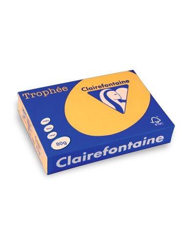 Papier clairefontaine multifonction laser couleur trophe a3 80g/m2 bouton parfaite opacite paquet 500.