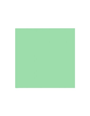 Papier clairefontaine multifonction laser couleur trophe a3 80g/m2 vert nature parfaite opacite paquet 500.