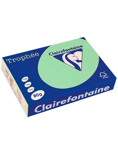 Papier clairefontaine multifonction laser couleur trophe a4 80g/m2 vert nature parfaite opacite paquet 500.