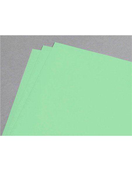 Papier clairefontaine multifonction laser couleur trophe a4 80g/m2 vert nature parfaite opacite paquet 500.