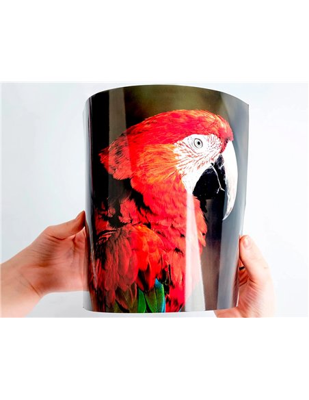 Papier photo q-connect jet d'encre glacé brillant a4 18 0g/m2 compatible toute imprimante paquet 20 feuilles.