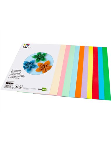 Papier cartonné liderpapel a4 180g/m2 10 coloris assortis paquet 100f.