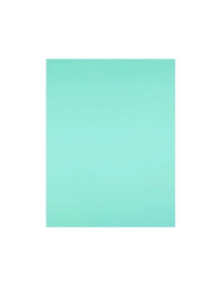 Papier cartonne liderpapel 50x65cm 240gr coloris vert paquet 25 feuilles.