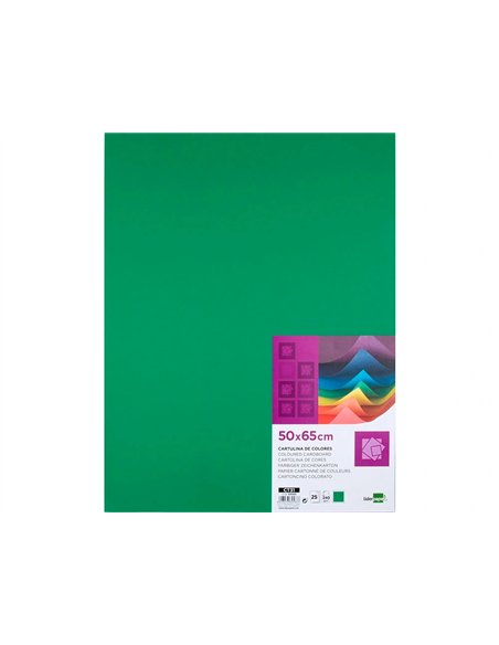 Papier cartonne liderpapel 50x65cm 240gr coloris vert noel paquet 25 feuilles.