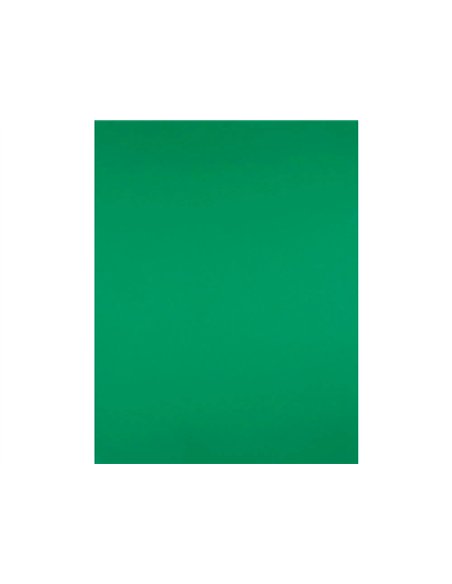 Papier cartonne liderpapel 50x65cm 240gr coloris vert noel paquet 25 feuilles.