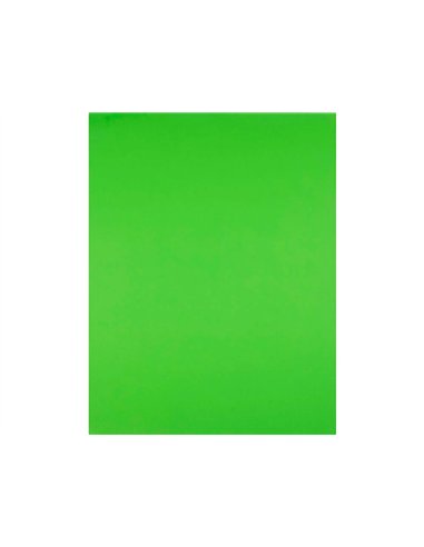 Papier cartonne liderpapel 50x65cm 240gr coloris vert herbe paquet 25 feuilles.