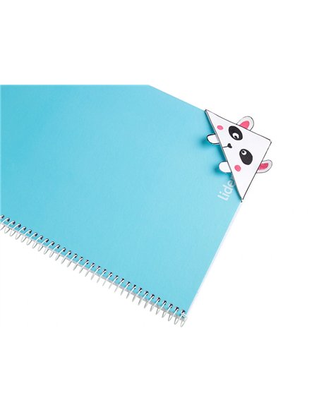 Papier cartonne liderpapel 50x65cm 180gr coloris gris.