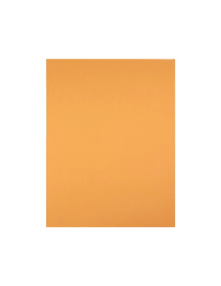 Papier cartonne liderpapel 50x65cm 180gr coloris noisette.