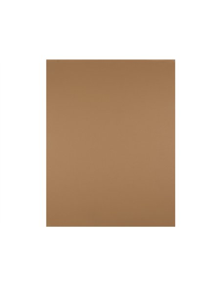 Papier cartonne liderpapel 50x65cm 180gr coloris marron clair.