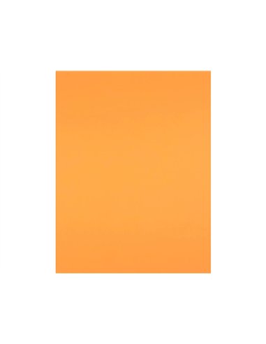 Papier cartonne liderpapel 50x65cm 180gr coloris nectarine paquet 25 feuilles.