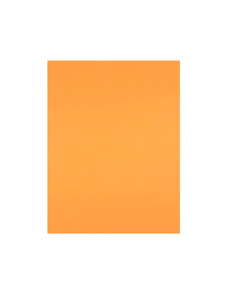 Papier cartonne liderpapel 50x65cm 180gr coloris nectarine paquet 25 feuilles.