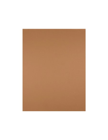 Papier cartonne liderpapel 50x65cm 180gr coloris marron clair paquet 25 feuilles.