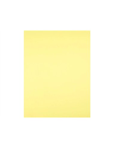 Papier cartonne liderpapel 50x65cm 180gr coloris jaune clair paquet 25 feuilles.