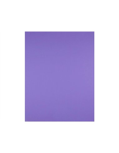 Papier cartonne liderpapel 50x65cm 180gr coloris pourpre paquet 25 feuilles.