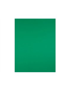 Papier cartonne liderpapel 50x65cm 180gr coloris vert noel. 2