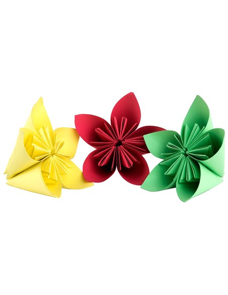 Papier cartonne liderpapel 50x65cm 180gr coloris vert noel.