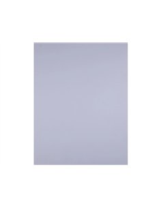Papier cartonne liderpapel 50x65cm 240gr coloris lilas. 2