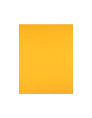 Papier cartonne liderpapel 50x65cm 240gr coloris vieil or.