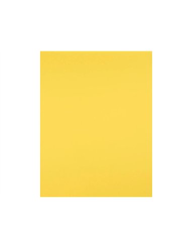 Papier cartonne liderpapel 50x65cm 180gr coloris jaune citron paquet 25 feuilles.