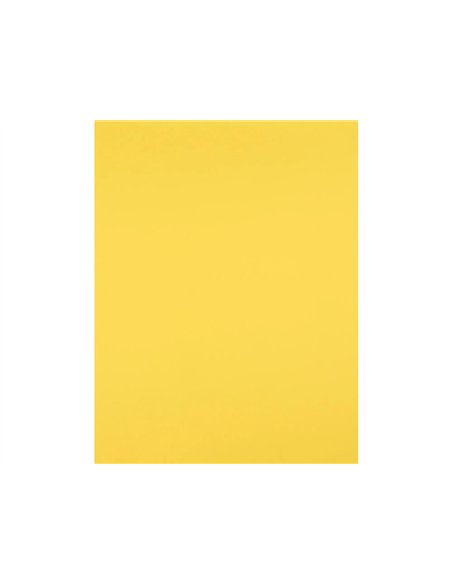 Papier cartonne liderpapel 50x65cm 180gr coloris jaune citron paquet 25 feuilles.