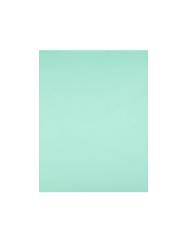Papier cartonne liderpapel 50x65cm 180gr coloris vert paquet 25 feuilles.