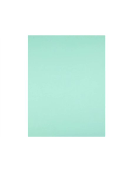 Papier cartonne liderpapel 50x65cm 180gr coloris vert paquet 25 feuilles.
