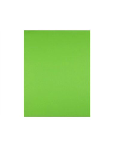 Papier cartonne liderpapel 50x65cm 180gr coloris vert pistache paquet 25 feuilles.
