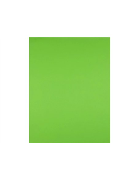 Papier cartonne liderpapel 50x65cm 180gr coloris vert pistache paquet 25 feuilles.