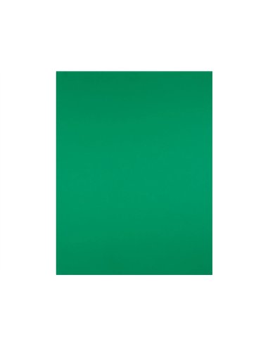 Papier cartonne liderpapel 50x65cm 180gr coloris vert noel paquet 25 feuilles.