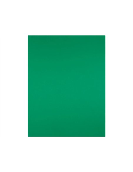 Papier cartonne liderpapel 50x65cm 180gr coloris vert noel paquet 25 feuilles.
