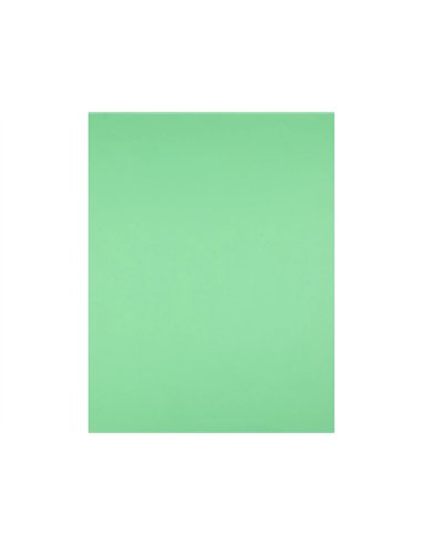 Papier cartonne liderpapel 50x65cm 180gr coloris vert herbe paquet 25 feuilles.