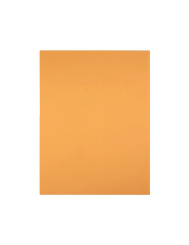Papier cartonne liderpapel 50x65cm 240gr coloris noisette paquet 25 feuilles.