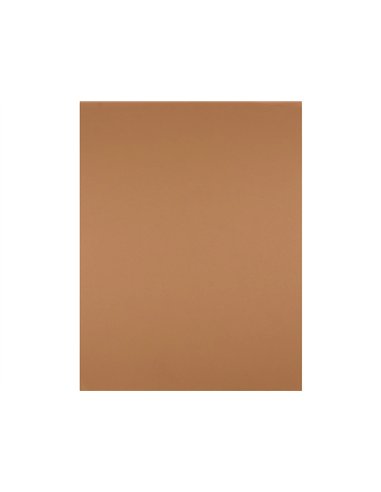 Papier cartonne liderpapel 50x65cm 240gr coloris marron clair paquet 25 feuilles.