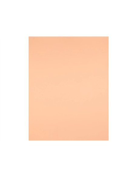 Papier cartonne liderpapel 50x65cm 240gr coloris sepia paquet 25 feuilles.