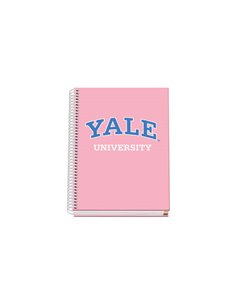 Cahier à spirales Dohe A5 - 162 x 210 mm - Couverture cartonnée lignée imprimée couleur - Spirale métallique blanche - 100 feuil