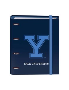 Cahier cartonné ligné Dohe - 35 mm - 100 feuilles 90 g offset - Grille 5 mm - 4 intercalaires polypropylène - Enveloppe velcro t