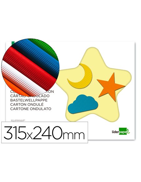 Carton ondulé liderpapel a4+ 24x31,5cm 160g/m2 coloris assortis bloc 10f.